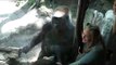 Trick Gorillas of the Bronx Zoo New York