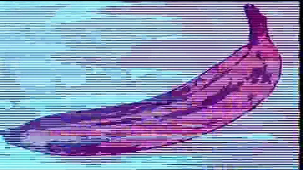 Documentary on the Velvet Underground's 1993 tour