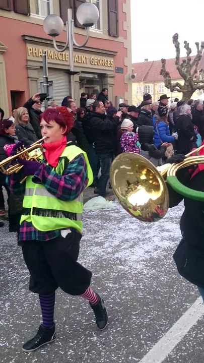Cavalcade de Sarre-Union 2016