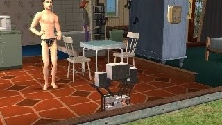 The sims 2 xfiles