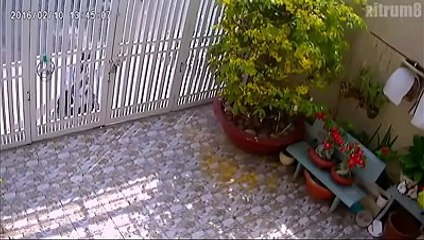 The robber got into the heavy doors