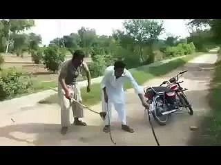Snake Funny Video With Funny Comparing  pakistani funny video-2016
