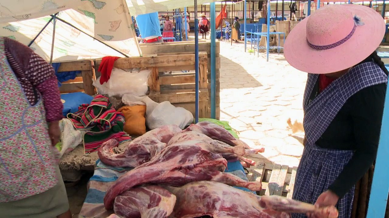A carne de llama