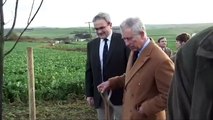 The Prince of Wales plants trees to commemorate The Duke and Duchess of Cambridges wedding