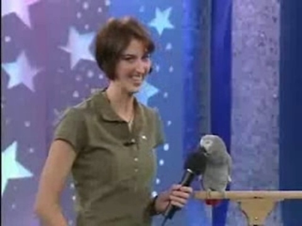 Smartlittlebird
