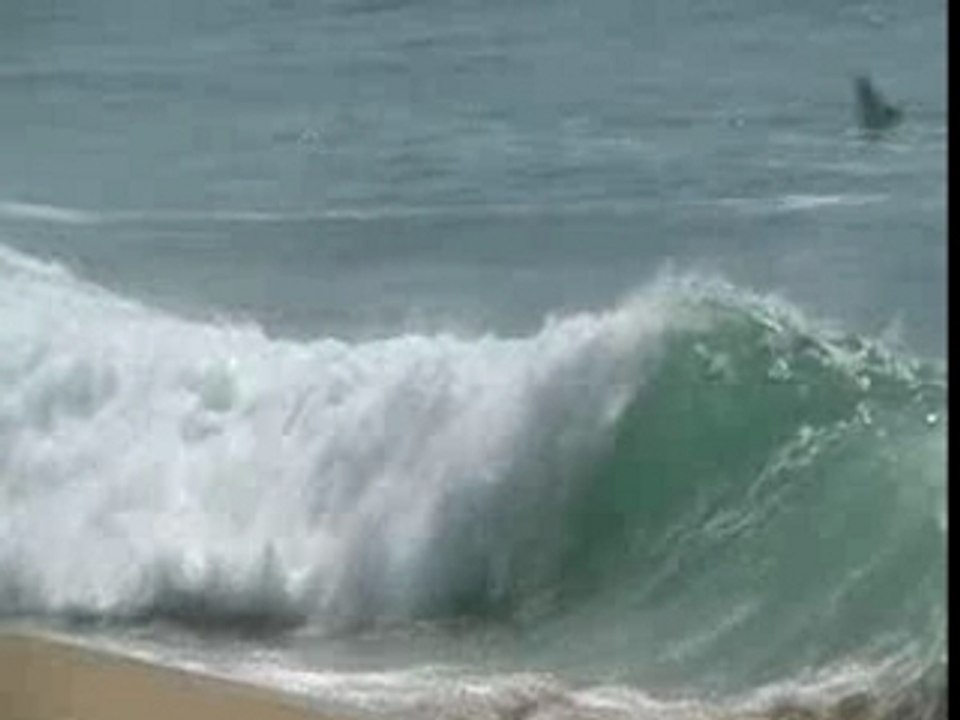 Hossegor surf