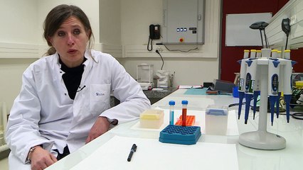 [8 mars] Sophie, chercheuse « réparatrice tissulaire »