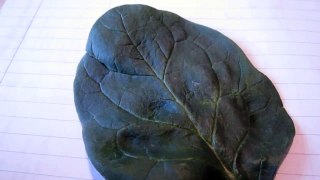 GIANT SPINACH