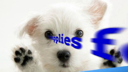 Best Selection of Pet Products