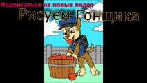 Щенячий патруль - Гонщик детский рисунок