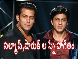Again Friendship started between Salman Khan and Shahrukh Khan