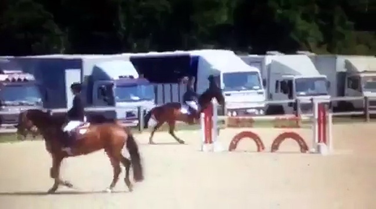 DUCATI DE LA MAISON ROUGE HONGRE 7 ANS