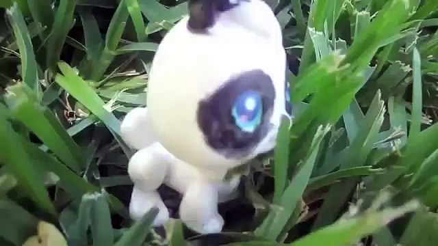 СТОП МОУШЕН Литл Пет Шоп СТРАХ КРОЛИКА. STOP MOTION vid little Pet Shop FEAR of the RABBIT.