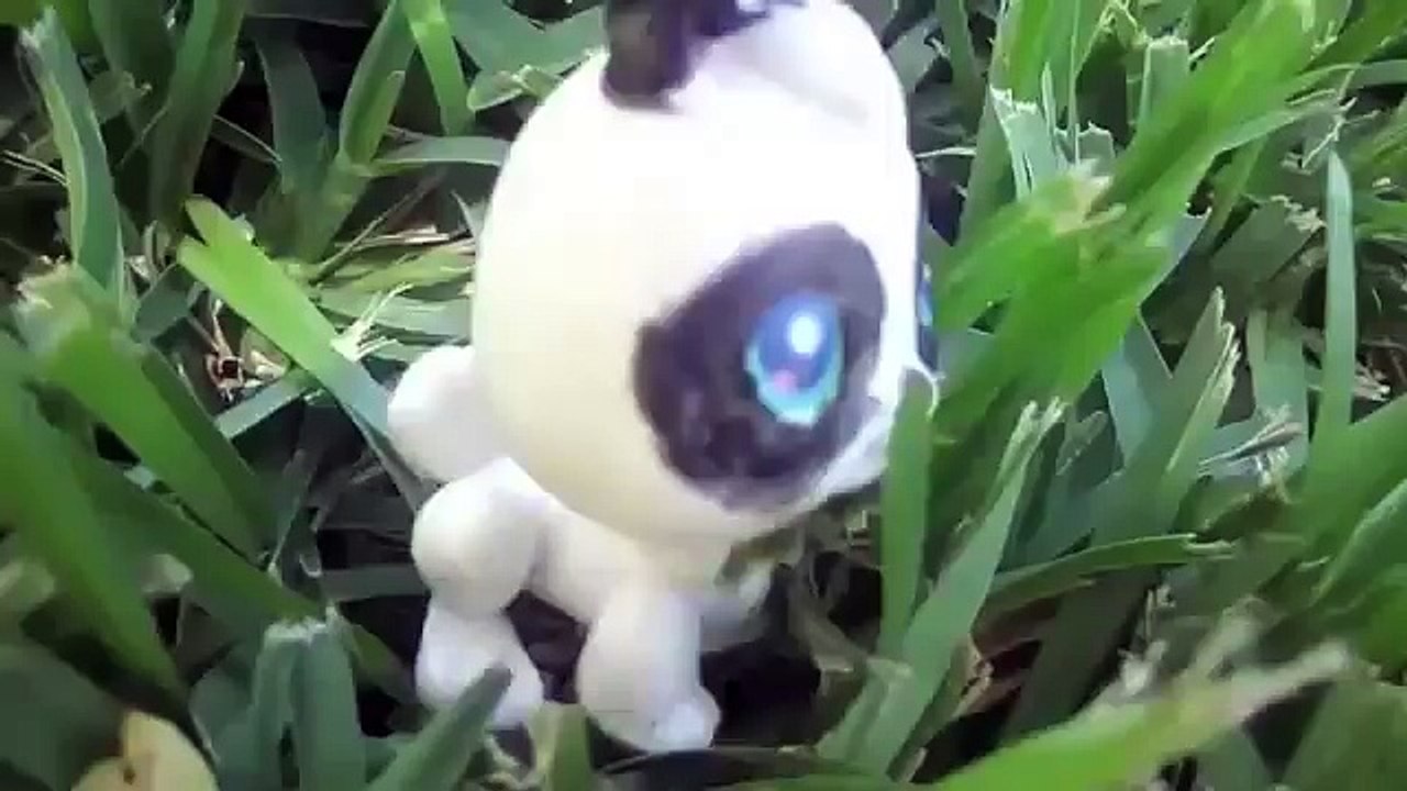 СТОП МОУШЕН Литл Пет Шоп СТРАХ КРОЛИКА. STOP MOTION vid little Pet Shop FEAR of the RABBIT.