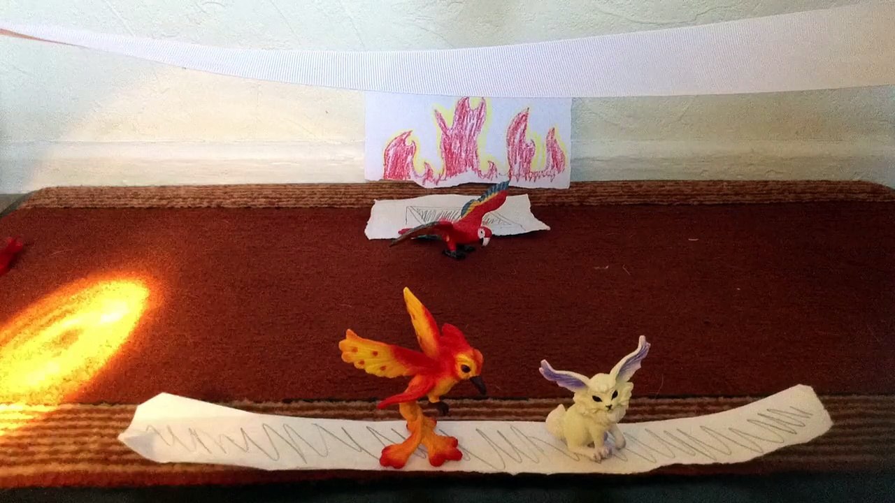 Animal circus!