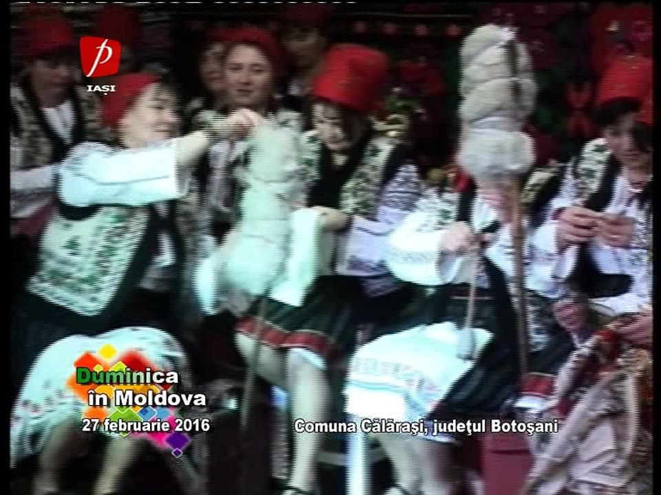 Formatii Nunta Iasi Muzica Populara Hora Saxofon si Vioara, Next Level Band