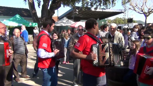 XIII prova de vinhos e petiscos de Bairros 2015 ( Concertinas )