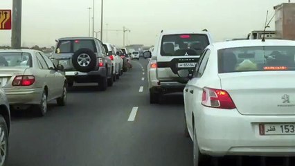 Tigre de estimação vira celebridade e assusta motoristas em estrada no Catar