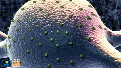 Come si diventa (più) intelligenti