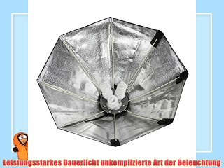Walimex Daylight 360 mit Octagon Softbox (Durchmesser 80 cm)