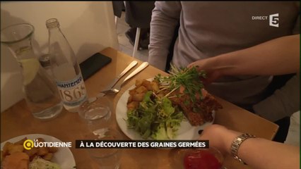 A la découverte des graines germées