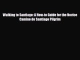Download Walking to Santiago: A How-to Guide for the Novice Camino de Santiago Pilgrim Ebook