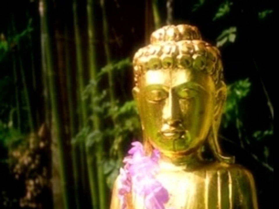 [Pub] K-Fee - Buddha