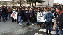 Manifestation de lycéens contre la Loi El-Khomri