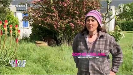 Un jardin, un verger sans la corvée de la tonte !