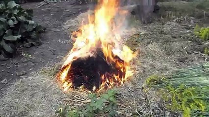 Ложка из пластиковой бутылки