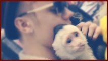 JUSTIN BIEBER GETTING ANOTHER MONKEY?