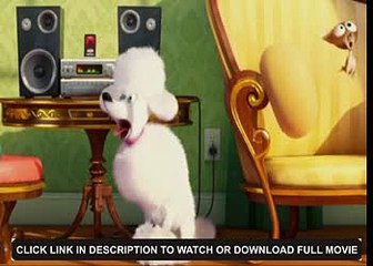 THE SECERET LIFE OF PETS (Animation @2016) Full HD 1080p