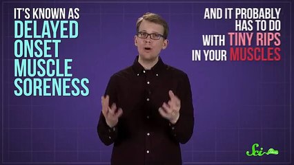 Are Sore Muscles Growing