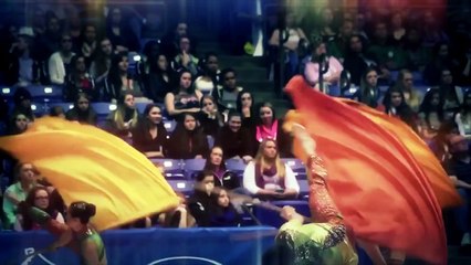 Contemporary Color | 2015 Luminato Festival