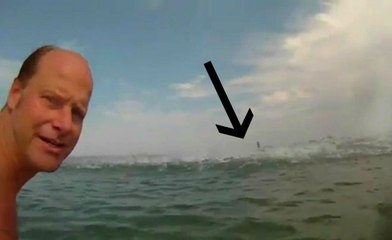 A Giant School of Fish Attacks Swimmers