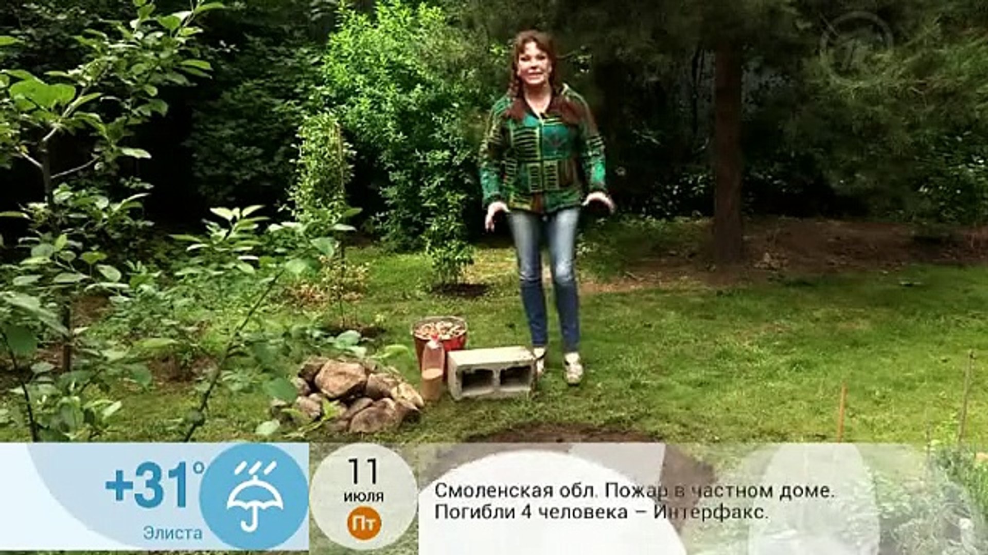 ⁣Клумба для укропа