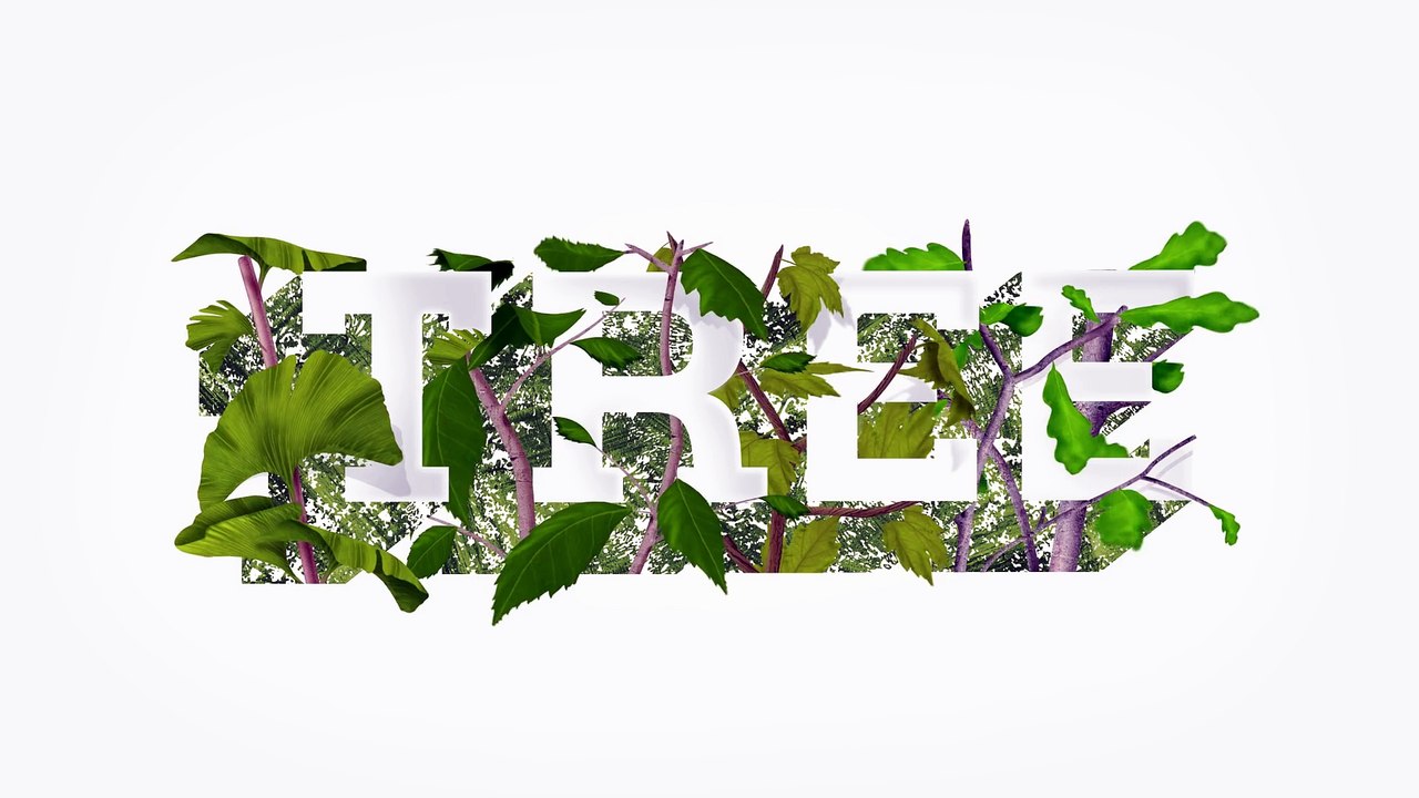 Découvrez l'urne funéraire qui fera de vous un arbre après votre mort