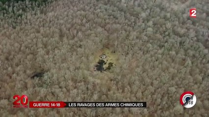 VIDEO. Les ravages persistants des armes chimiques de 14-18