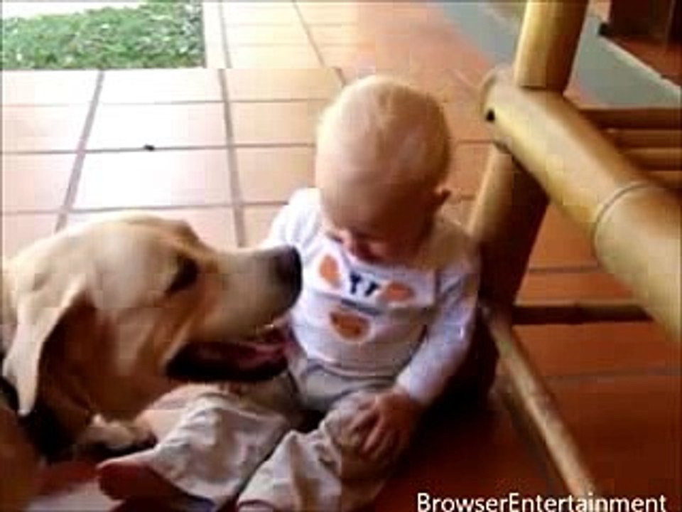 Baby and Dog Funny Video   Funny babies annoying dogs - Cute dog & baby compilation