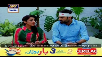 Watch Dil-e-Barbad Episode – 213 – 9th March 2016 on Ary Digital