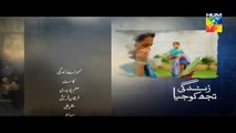 Zindagi Tujh Ko Jiya HD Episode 12 Promo | HUM TV Drama 09 Mar 2016
