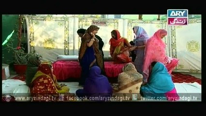 Mehmoodabad Ki Malkain Ep - 29 - 9th March 2016