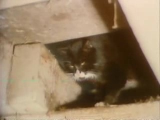 Louise Pons Villey Saint Etienne (1974/75)