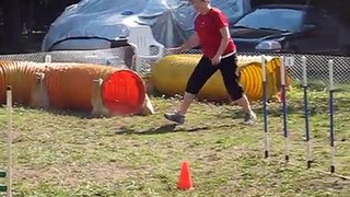 Guides Canins agility 2012 003