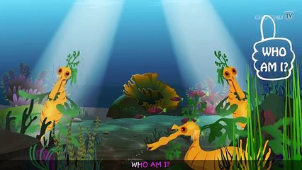 Leafy Sea Dragon Nursery Rhyme  ChuChuTV Sea World  Animal Songs & Nursery Rhymes For Children