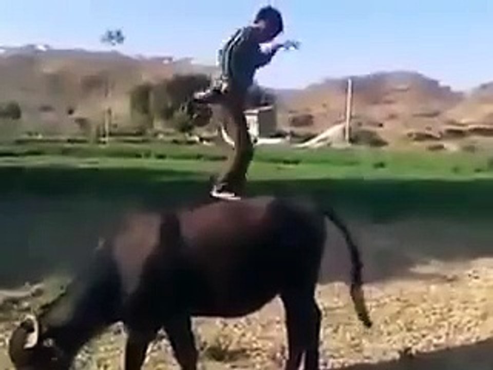 ابھی تو پارٹی شروع ہوئی ہے