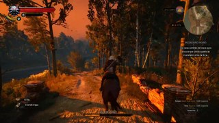 The Witcher 3 - Incendiario insano