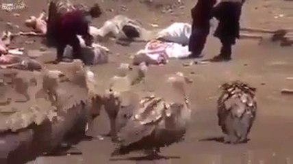 elle est ou la dignite humain ?