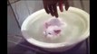 Cat doesn't want to leave warm bath
