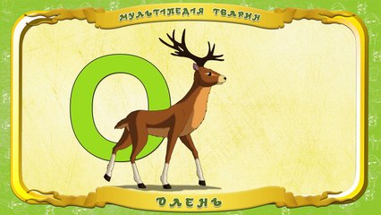 Мультіпедія тварин. Літера О Олень
